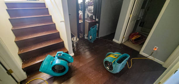 Best Flood restoration services  in Barneveld, WI