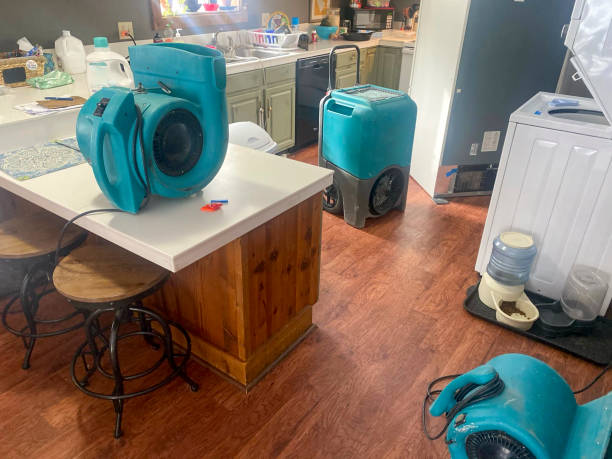Best Water damage restoration services  in Barneveld, WI