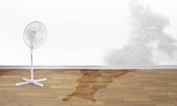 Best Water damage restoration near me  in Barneveld, WI