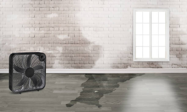 Best Flood damage cleanup  in Barneveld, WI