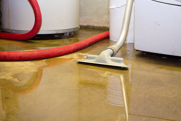 Best Water damage restoration near me  in Barneveld, WI